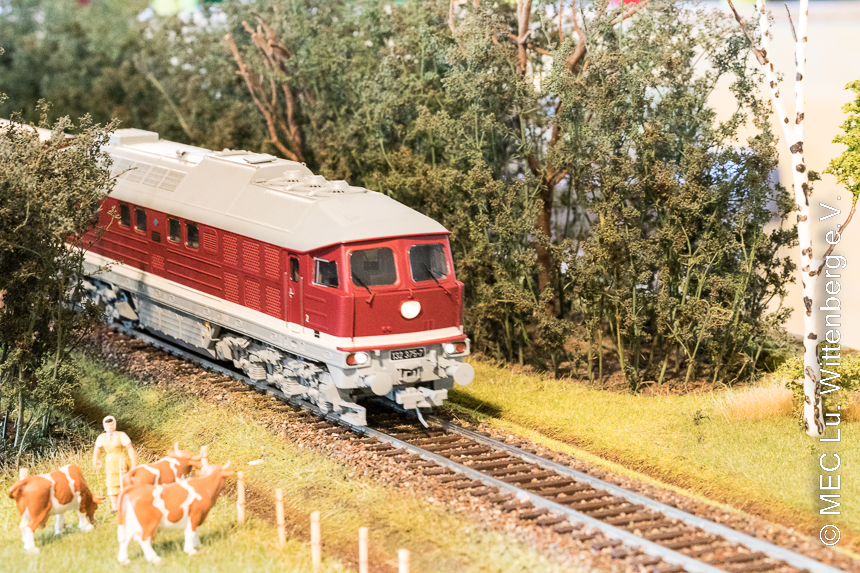 Wörlitz 2022